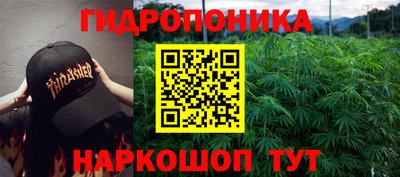 гашик Азнакаево